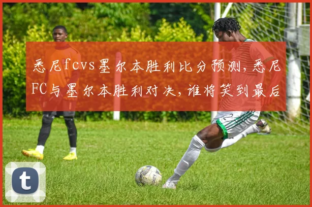 悉尼fcvs墨尔本胜利比分预测,悉尼FC与墨尔本胜利对决,谁将笑到最后