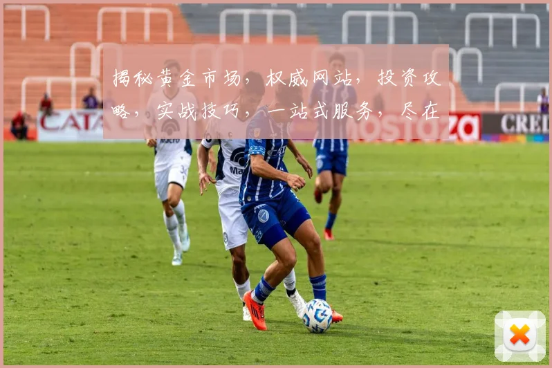 揭秘黄金市场，权威网站，投资攻略，实战技巧，一站式服务，尽在黄金网站