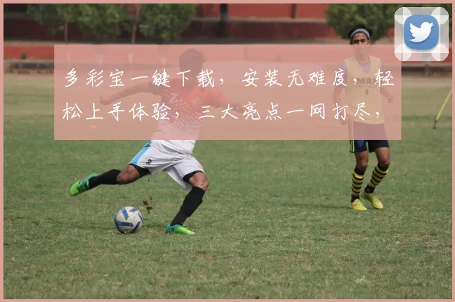 多彩宝一键下载，安装无难度，轻松上手体验，三大亮点一网打尽，不容错过