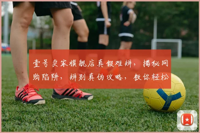 壹号卖家旗舰店真假难辨，揭秘网购陷阱，辨别真伪攻略，教你轻松避坑，购物无忧